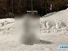 Площадку в Детском парке «украсили» большим пенисом из снега