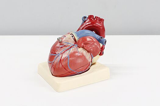 Кардиолог назвал неочевидную причину болей в области сердца