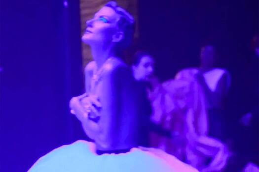 Рената Литвинова прошлась с голой грудью по сцене во время гастролей