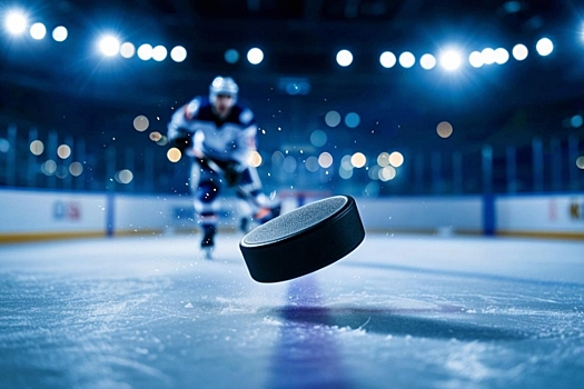 Владислава Третьяка пригласят на открытие хоккейной площадки в Рязанской области