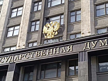 В законопроект о самообороне могут внести изменения