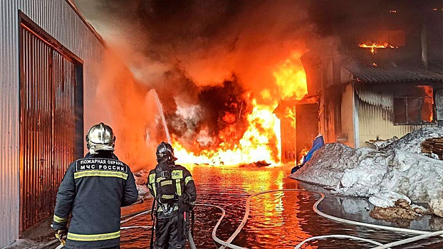 МЧС показало кадры тушения сильного пожара на складе в Подмосковье