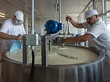 Подмосковье и Швейцария разработают совместные программы обучения сыроваров