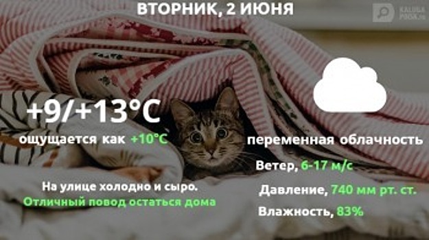 Прогноз погоды в Калуге на 2 июня