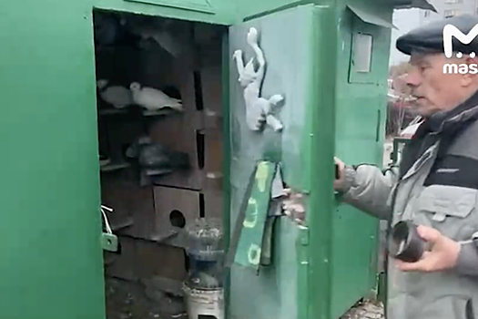 В Москве соседка украла у пенсионера 14 редких голубей