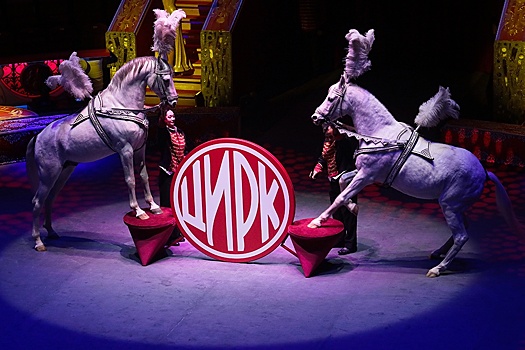 В "Орленке" 17 апреля стартует четвертый Всероссийский фестиваль "Дорога в цирк"