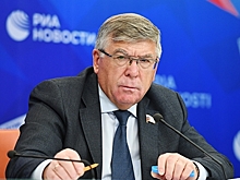 В Совфеде оценили инициативу продлить работающим пенсионерам новогодние каникулы