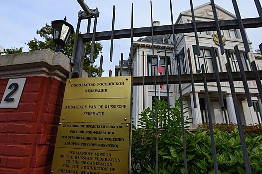 Театр в Гааге отменил концерт хора Гнесинки