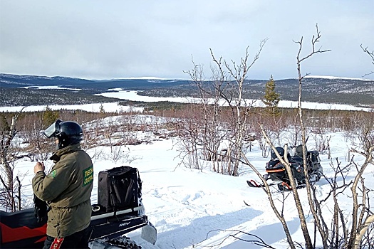 Популярные туристические маршруты Арктики остались без контроля