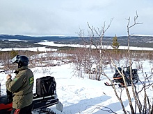 Популярные туристические маршруты Арктики остались без контроля