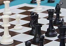 В Печатниках прошел крупный шахматный турнир