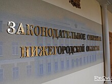 Нижегородские депутаты испугались давления