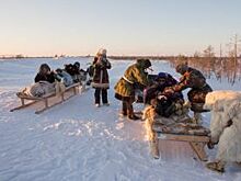 Добро пожаловать в югорский чум. Как ханты туризм развивают