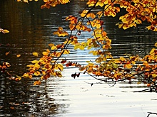 Нижегородские реки и озера попали в топ-10 направлений для отдыха в сентябре
