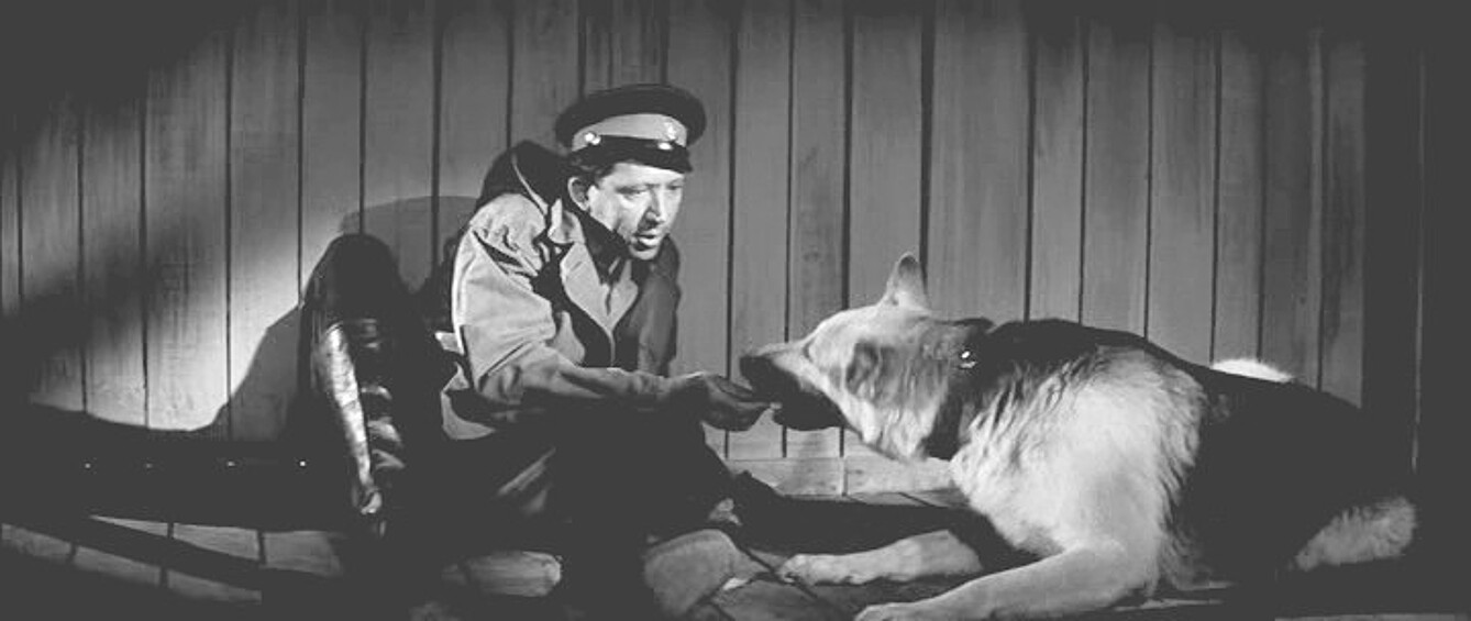 "Ко мне, Мухтар!", 1964. Лейтенант милиции Глазычев в исполнении Юрия Никулина покорил зрителей своей добротой и терпением. Это не просто милиционер, но еще и хороший психолог, сумевший добиться преданности собаки, брошенной хозяином.