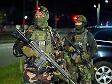 Эксперт оценил идею отправить военных из Литвы на Украину