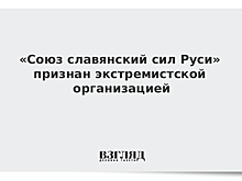 «Союз славянский сил Руси» признан экстремистской организацией