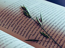 Книги для души