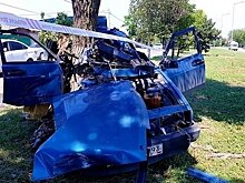 В Ейске автоледи врезалась в два столба и дерево