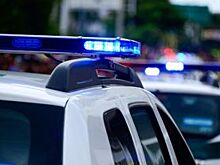 Росгвардия в Омске задержала автомобиль с поддельными номерами