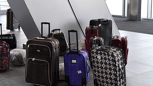 Lufthansa изменила правила провоза ручной клади из-за скандала со старинной скрипкой