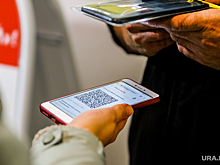 Челябинских депутатов не пустят на заседания без QR-кодов