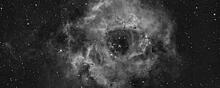 В Новосибирске астрофотограф сделал снимок туманности, похожей на череп человека