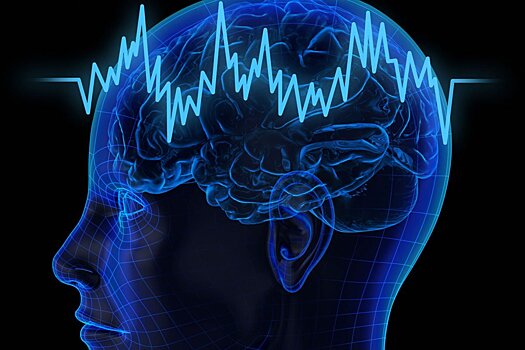 Врач назвал способы значительно улучшить работу мозга