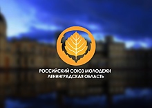 Полностью автономная областная организация РСМ открылась в Ленобласти