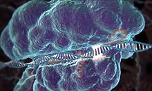 Найден способ повысить эффективность CRISPR-Cas9