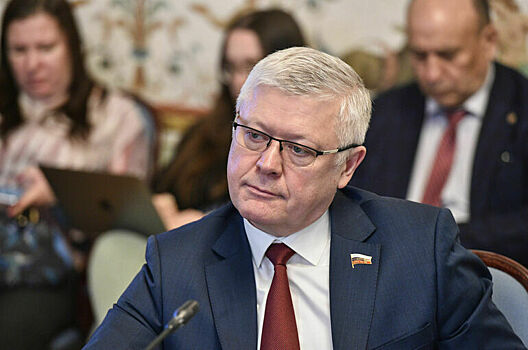 Депутат рассказал о русофобской деятельности «предателей» России в ЕС