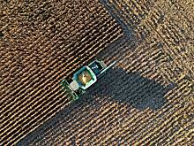 В ЕК заявили о планах увеличить вывоз украинского зерна по суше