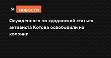 Осужденный по «дадинской статье» Котов вышел на свободу