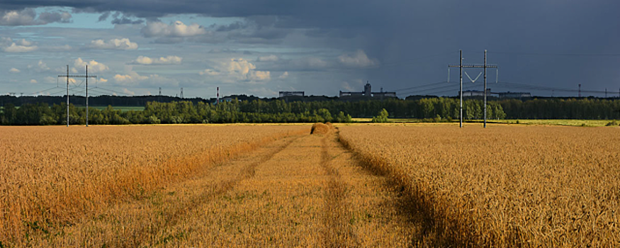 В Омской области лето в этом году закончилось раньше