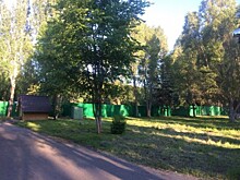 Новое колесо обозрения в парке Гагарина планируют запустить к концу июля