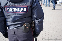 "Гастролеры" и интернет-мошенники добавили Екатеринбургу криминала