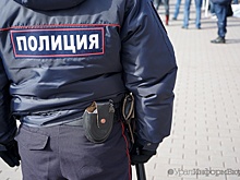 "Гастролеры" и интернет-мошенники добавили Екатеринбургу криминала