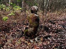 Местный фотограф нашел таинственную фигуру в городском бору Челябинска