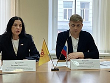 Справедливороссы предложили поддерживать россиян финансово по праву рождения