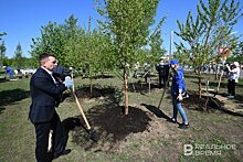 Под Казанью высадят 50 тысяч саженцев в рамках международной акции "Сад памяти"