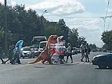 Динозавры на «зебре»: нижегородцы заметили необычных пешеходов на дороге