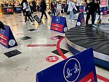 Особенности перелета на Turkish Airlines