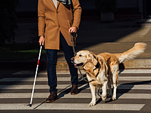 Слепой мужчина случайно прозрел благодаря мозговому импланту