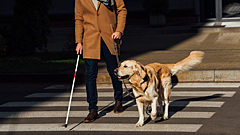 Слепой мужчина случайно прозрел благодаря мозговому импланту