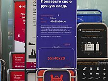 Эксперт Пантелеев раскритиковал внедрение единого размера ручной клади в самолетах