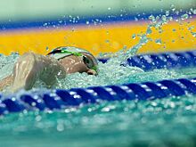 В Сочи впервые пройдет Чемпионат мира по плаванию в открытой воде