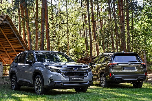 Идет по параимпорту: в РФ возобновили продажи Subaru Forester - от 3,15 млн