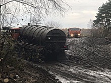 Жители Кетово требуют от властей остановить загрязнение леса фекалиями