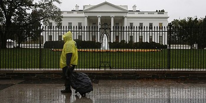 Посаженный Трампом и Макроном дуб пропал с лужайки Белого дома