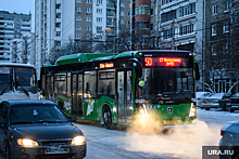 В Екатеринбурге больше сотни автобусов простаивают в автопарке